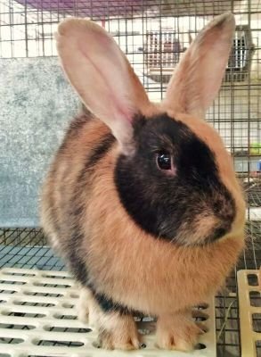 77_stephenson's profile picture. Love Corrie,  Emmerdale,  Hollyoaks and Home & Away. Also like Reality TV.