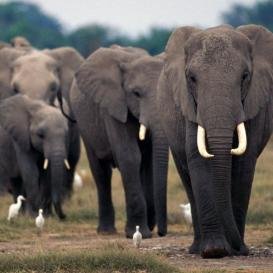 GeaMinerva1's profile picture. 