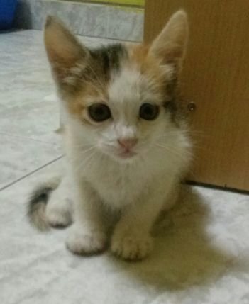 aidamo84's profile picture. 