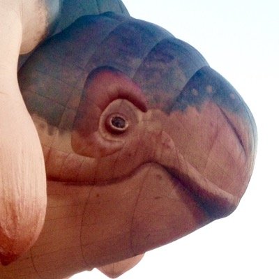 The official Twitter account of Patricia Piccinini's Skywhale.
