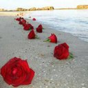 توته (@23584850a8aa40c) Twitter