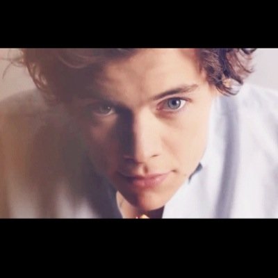 Go follow @haroldsdelights shes perfection and get her to 30K!!! She lost followers and she deserves them all back because queen!