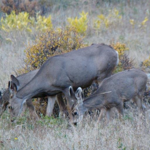 B_Rad_HR's profile picture. 