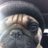 BiFiMoN's profile image