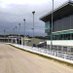 Clonmel Greyhounds (@clonmeltrack) Twitter profile photo Clonmel Greyhounds (@clonmeltrack) Twitter profile photo