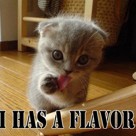 kaiaw14's profile picture. I am Kaia, I LOVE Horses I LOVE Jackie evancho and i go to tri town baptist church!!