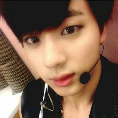 Kpop Fan