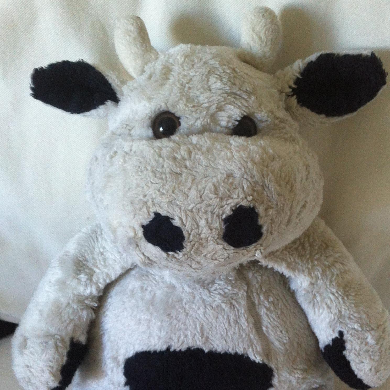 I’m a Macho Bull Cow. I live in a  field with Amy [I love her], Bill [he’s my mate] and a farmer who is trying to kill me for meat. My life is all very strange…