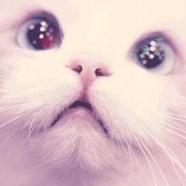 相互フォローさせていただきます…( ͒ ु๑･×･ ू ͒)