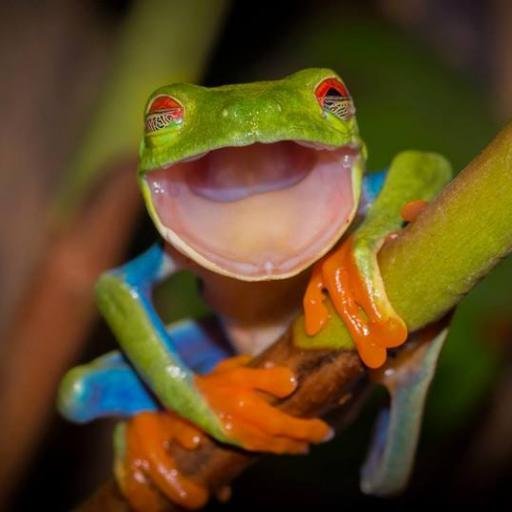 hqut0's profile picture. 