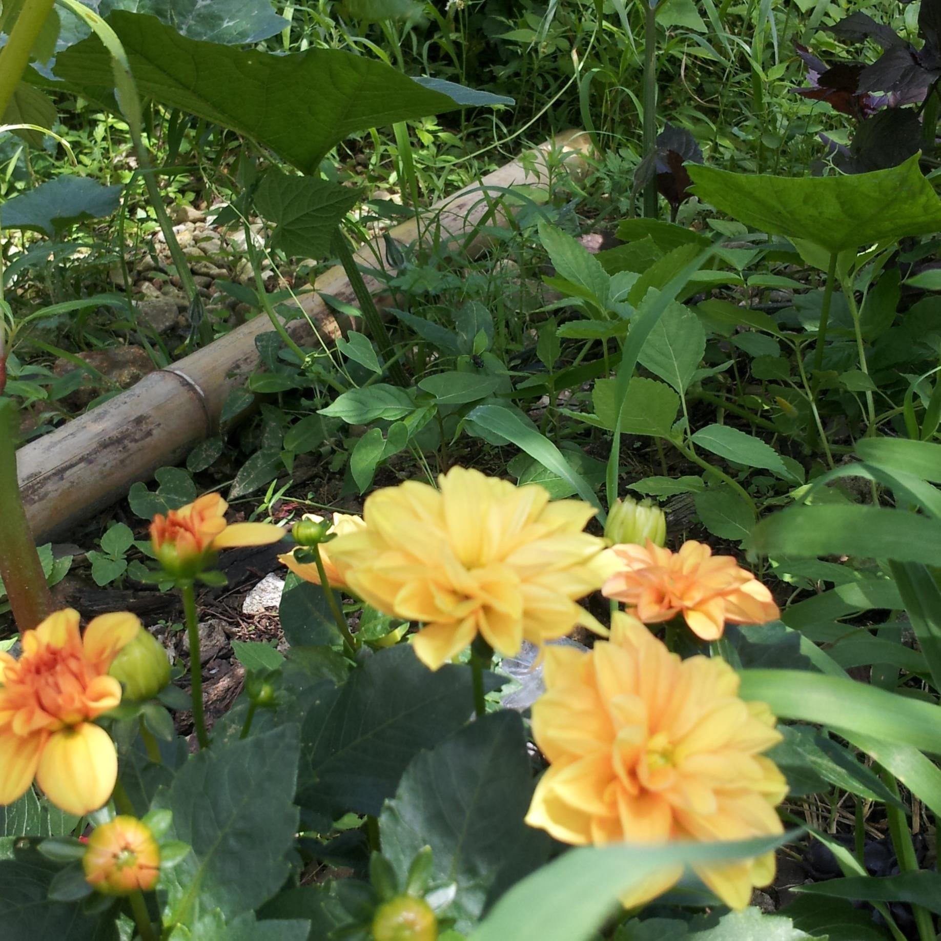 요한계시록 전장 예언과 성취 증거
신천지 공식 유튜브채널에서 확인
https://t.co/2lBfbv49Am

무료성경공부 신청번호 : 02011
성경공부 신청서 : https://t.co/dFrj24L2C5