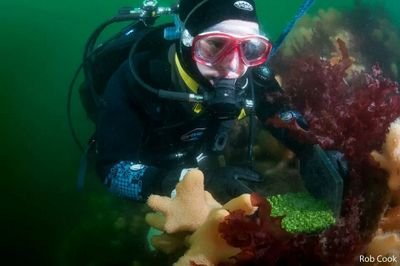 A diverse and forward thinking team of marine scientists from Heriot Watt University dedicated to researching the important questions about our marine world.