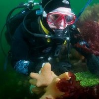 HW Scientific Divers (@hwscidivers) 's Twitter Profile
