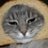 sean801ems's profile image