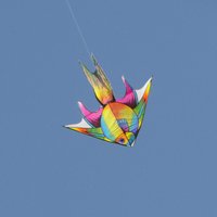 Paz García (@pazcitagarcia) 's Twitter Profile