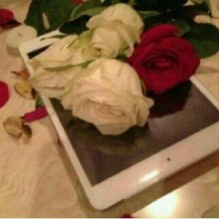 ‏‏‏‏‏‏‏‏جميل ان تشعر بعظمتك واهميتك في عيون الاخرين
لكن الأجمل  
ان تشعر بها انت ، حين تجدها اثر جميل ينعكس على القلوب من خلال شخصيتك.