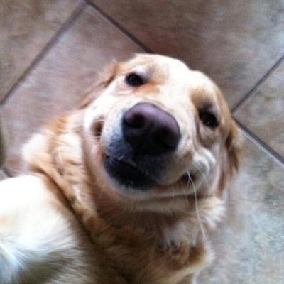 _brad____'s profile picture. 