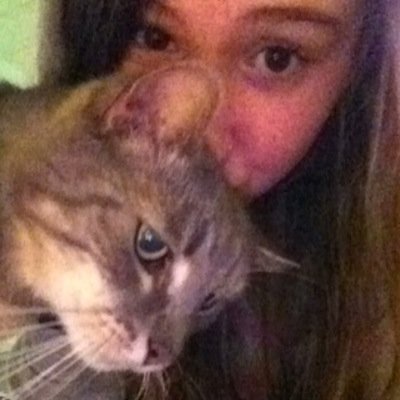 My best friend is a cat