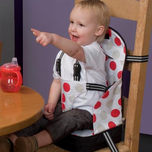 US & Canadian distributor of the multi award-winning  Go Anywhere Travel Feeding Booster Seat: Lightweight, hip, safe and fun and a Mom to 2 great kids!