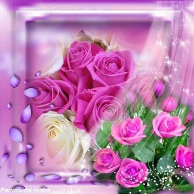 abtsamh34 Profile Picture
