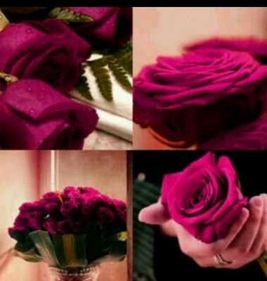 ‏‏‏متفاااااائله بالخير دائما...اتحاديه والفخر ليه...الخاص مهمل