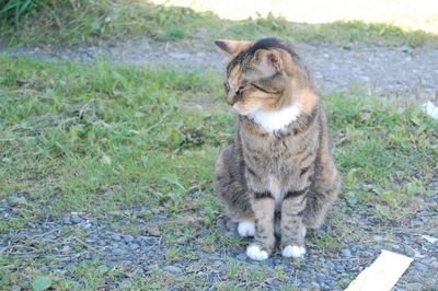 北海道科学大学　元弓道部　四段　天高校弓道部　　旭川の写真屋さん