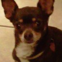 STEVEN BOWLIN - @SteveBowlin1955 - Twitter