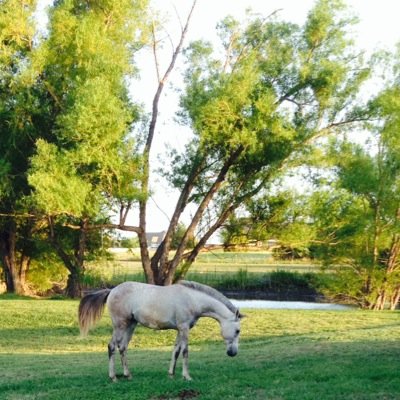 learningtofly87's profile picture. A soul in tension -- that's learning to fly
Condition grounded but determined to try - Learning to fly, Pink Floyd