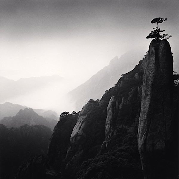 alhequ's profile picture. 