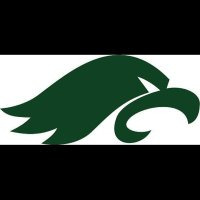 Holy Trinity CSS (@htcssfalcons) 's Twitter Profile