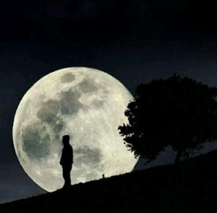 ‏بعد الفراق رأيت الصبر شيعني