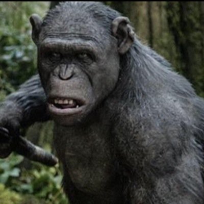 Watch Dawn of the Planet of the Apes FullMovie English