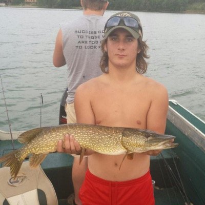 jjarmuzek7's profile picture. 