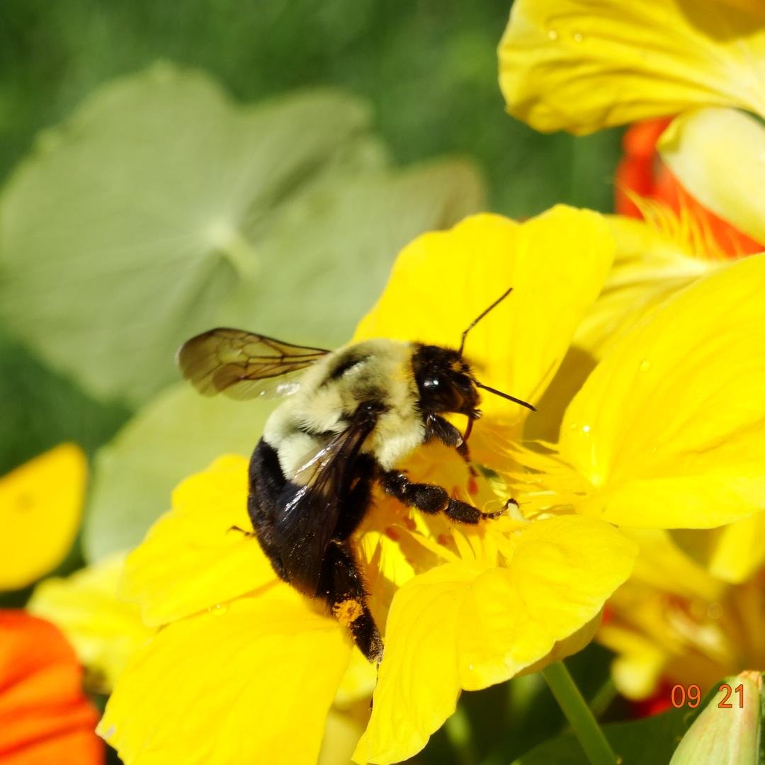 tammy_brill's profile picture. BS MS Biology