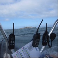 Cruziana (@triedandtraced) 's Twitter Profile