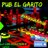 PubGarito's profile image