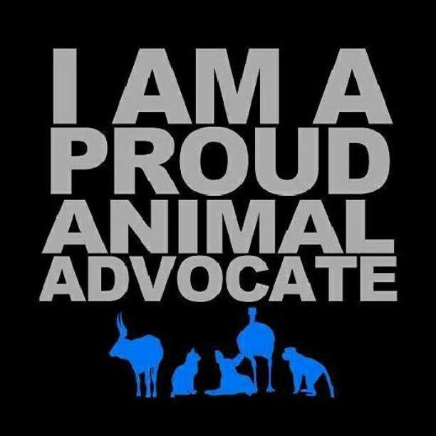 I am a vegan. I do not play God and decide which animal lives and which one dies for my selfish gratification. Human bodies are not designed to digest flesh!