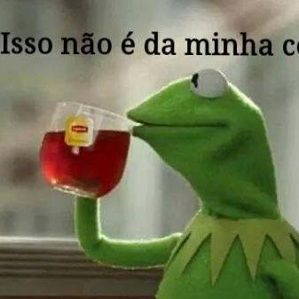 MoisesRosarioZe's profile picture. 