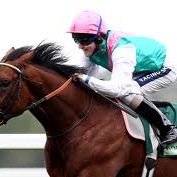 Horse Racing enthusiast! Free daily horse racing NAP! Trying to beat the bookies! #geton Guest tipsters from time to time! email me punterpick82@yahoo.com