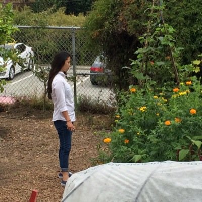 linashimamura's profile picture. finance & environmental studies @ usfca | urban agriculture
