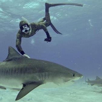 afonso_gamer200's profile picture. 