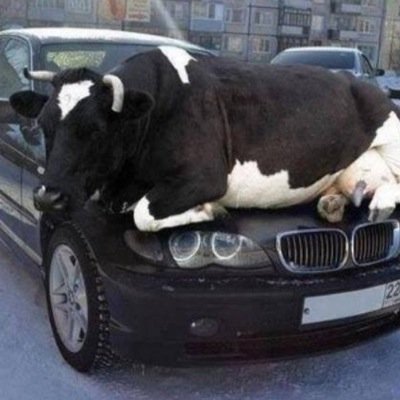 WesWesley73's profile picture. 