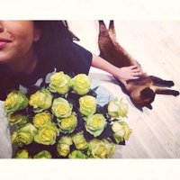 mystery (@lerunkaa) 's Twitter Profile