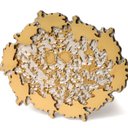 Kate Varner Rieppel - @katevrieppel - Twitter