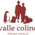 Albergue Comarcal Valle Colino (@avallecolino) Twitter profile photo Albergue Comarcal Valle Colino (@avallecolino) Twitter profile photo
