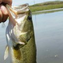 Joe Thames - @bigcountry2475 - Twitter