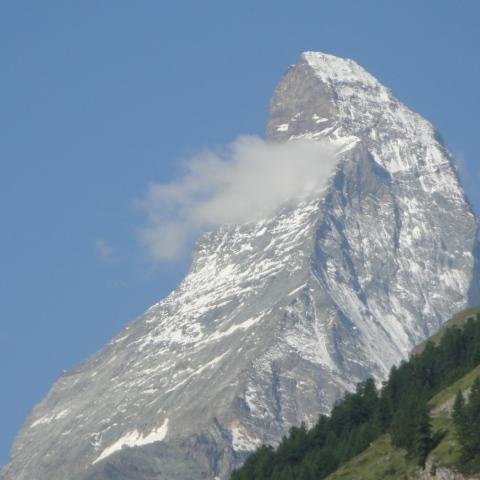 lsimosa's profile picture. 