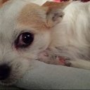 Norma Jean Duran - @4017f5af4666424 - Twitter