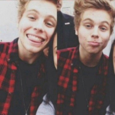penguins are cute and luke hemmings is cuter