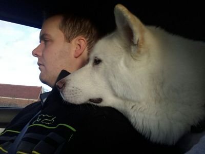 Petrolmetalhead's profile picture. 